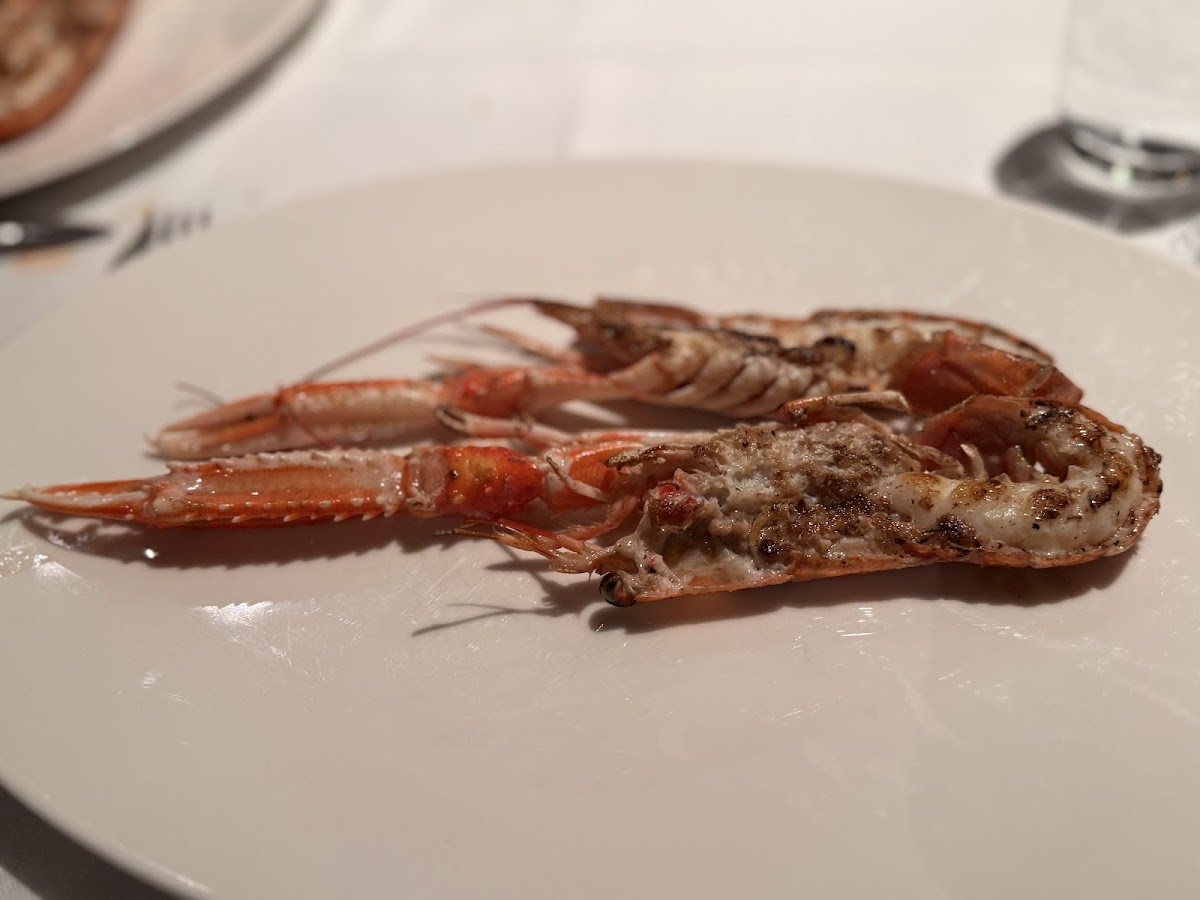O'Pazo — photo 2